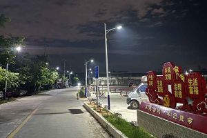 押球集团官网押球集团官网押球集团官网押球集团官网首页-押球(中国)-押球(中国)
集团罗宁弟爱心捐赠路灯，点亮乡村路温暖乡民心